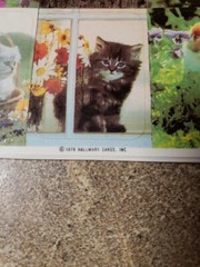 Vintage 1979 Ambassador HALLMARK Stickers 4 Sheets KITTENS Flowers Sealed NOS
