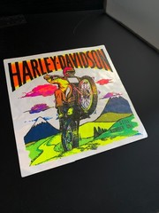 HUGE! Harley Motorcycle VINTAGE IRON ON transfers MODIFIED to sticker decal *RE