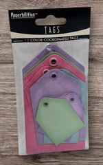 Paperbilities 12 Pc Color Coordinated Tag Set Scrapbooking Crafts + 5 Loose