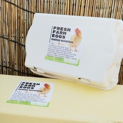 100 Pack Fresh Farm Eggs Handling Instructions Stickers Labels Care Accessor…