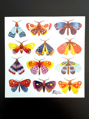 Violette Stickers Moths Crafts Planner Supply Scrapbook