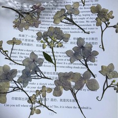 12PCS Pressed Dried Hydrangea Flower, natural pink purple, violet colors FHT32