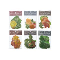 Dried Pressed PET Leaves Stickers 40PCS Maple Ginkgo Leaf Scrapbooking Diary DIY