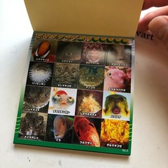 FISH Japanese Stickers book 274 stickers Shogakkan NEO Book Series