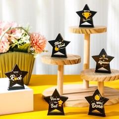 18 PCS Small Star Acrylic Employee Appreciation Award Trophies Plaques Black