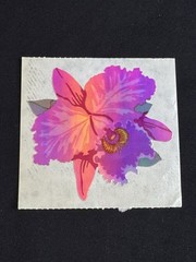 Vintage Sandylion Orchid Flower Mylar Foil Sticker With Some Peeling