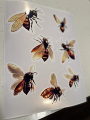 Glossy Metallic Bee Stickers – Cyber Bees – 8 Piece Set – Ranging 2-4inch