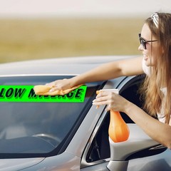 Chartreuse Green Vinyl Slogan Stickers – 12-Pack for Car Dealer Windshield Adve