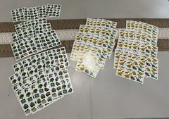 Vintage Carson Dellosa Sticker LOT Dinosaurs Rainforest Animals – 84 Sheets