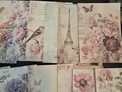 100Pc Floral Abundance Scrapbooking JJ Craft Papers No Duplicates