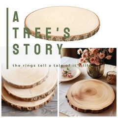 10 PCS 8-9 Inch Large Wood Slices for Centerpieces, with Table Number Holders…
