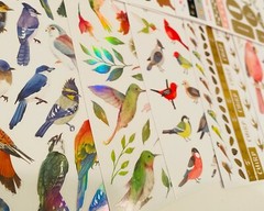 289+ Sticker Lot animals butterfly cat kittens bird flowers plants sea wild life