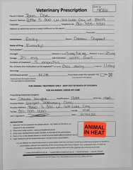 Animal in Heat Veterinary Labels 1 x 1.5 Inch 500 Total Stickers