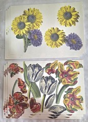 ANNA GRIFFIN 250+ Unlabeled DIE CUTS Flat+3D FLOWERS BIRDS BUTTERFLY+ NEW (PA51)
