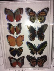 jot Butterflies Orange/Black Silver Holo 9ct BUTTERFLY Stickers w/3-D Wings BNIP