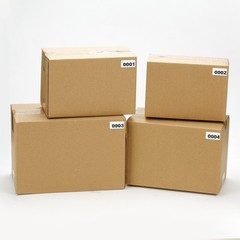 Inventory label 0.8×1.6″, roll 5001-6000 for stickers 1000pcs