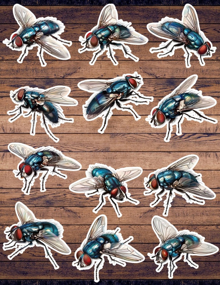 House Fly Die Cut Vinyl Stickers Set Scrapbooking Laptop Waterbottle