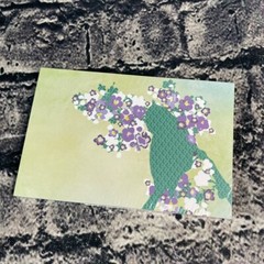 Creative Memories FRESH PICKS Slide-In Pack 12 Vertical 4″x6″ Double Sided