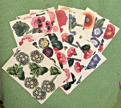 Anna Griffin More Flower Pot Decoupage 500 Die Cuts,