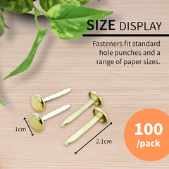 Brass-Plated Paper Fasteners Brads, 1 In, 100 Count, Standard Brad Fasteners, fo