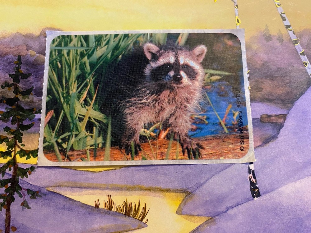 SmileMakers Raccoon Sticker Module 2×4 Inches