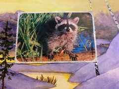 SmileMakers Raccoon Sticker Module 2×4 Inches