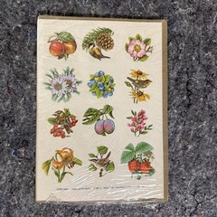 Vintage 1982 Sticker 2 Sheets New In Package by Current – Birds, Flowers, Fruit