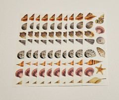 Mrs. Grossman’s Stickers Lot of 10 Strips ~Sea Shells Photoessence~ 2011
