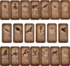 80 Pcs Creepy Apothecary Bottle Labels Animal Medicine Bottle Stickers Potions L