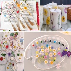 269PCS Dried Pressed Flowers for Resin Craft – YouthBro Real Nature Flowers S…