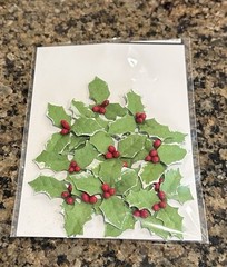 Lot of 14 Hobby Lobby CHRISTMAS Embellishments Scrapbook Cards Open Packages