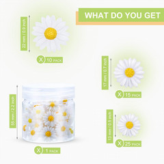 50 Pcs Resin Daisy Flower Flatback Beads Craft Charms DIY Decoration Set