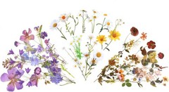 120 Pcs Transparent Flower Stickers for Scrapbooking, Journaling, Crafting