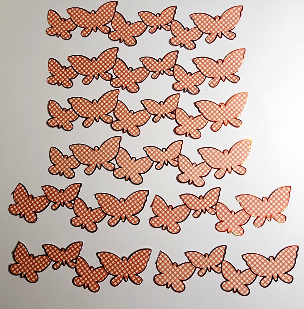 K&Company Butterflies Picnic Checker Orange Foil Border Sticker Scrapbooking 6pc