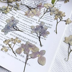 12PCS Pressed Dried Hydrangea Flower, natural pink purple, violet colors FHT32