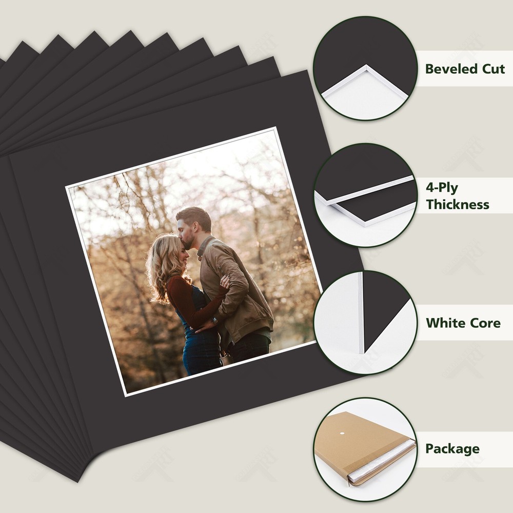 10 Pack Acid Free Picture Mats Bevel Cut White Core Frame Mattes for Photos