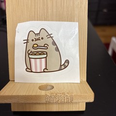 Pusheen Cat with a Carton of Ice Cream Sticker 2 x 2 Inches