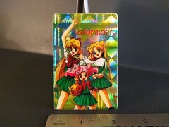 Sailor Moon Prism Sticker Manga Card