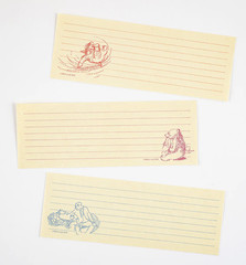 Hobonichi Paddington Bear 5-Item Stationery Set Stickers Notes Letter Japan NEW
