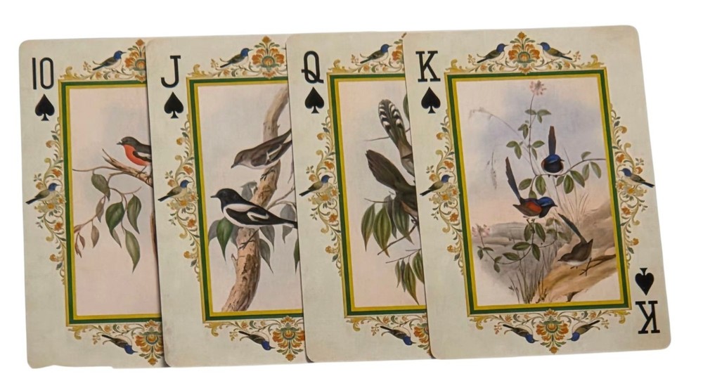 Vintage Bird Illustrations John James Audubon Junk Journal Scrapbook Crafts SK