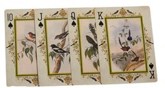 Vintage Bird Illustrations John James Audubon Junk Journal Scrapbook Crafts SK