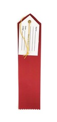 2nd Place Winner Award Ribbons Red Event Card String Gold Writings 12 PCS
