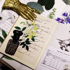 50pcs/Pack leaves stickers leaf plant and animal vellum stickers T03