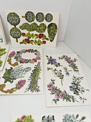 HTF Anna Griffin Trelliage Nature Die Cuts – 211 Die Cuts – AG 599 New