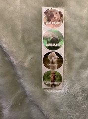 Teacher Kids Reward 1” Round Animal Stickers 4 Designs Brand New Lot of 100 #*