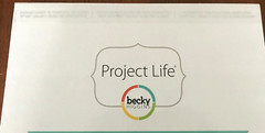 NEW BECKY HIGGINS PROJECT LIFE FAVORITE THINGS CORE KIT 616 SCRAPBOOKING CARDS