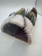 Mo Card Vellum Small Books Qty 4 Floral Van Gogh Color Vintage-theme Scrapbook
