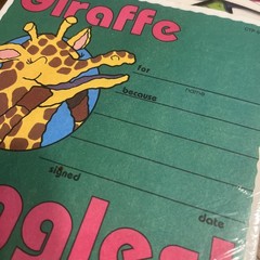 Vintage Award Recognition Certificate Rewards Teacher Giraffe 36 count