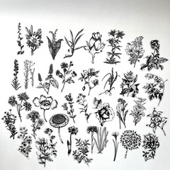 Botanical Flower Vellum Stickers 60 pcs Black White Junk Journaling Collage