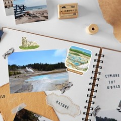 Yellowstone National Park Stickers (28Pcs) – Hand-Illustrated, America, Nature-T